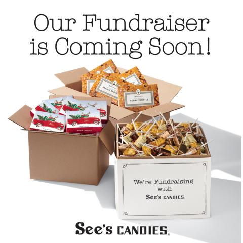 See's Candy
